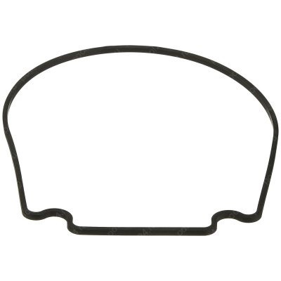 Уплотнительное кольцо корпуса для насоса Aquaviva SWPA\SWPB