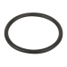Уплотнительное кольцо соединительной муфты насоса Aquaviva VWS\STP 150-300 - фото 1