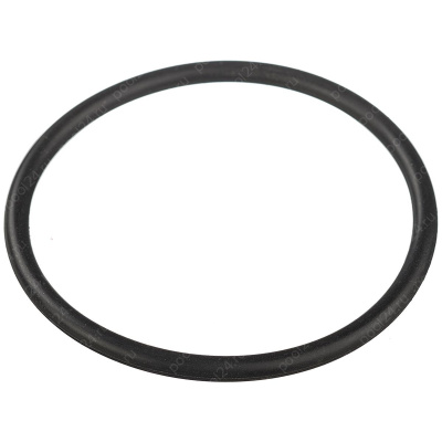 Уплотнительное кольцо переходной муфты насоса Aquaviva SWPA/SWPB