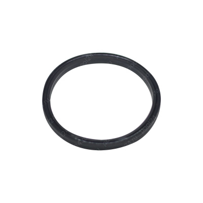 Уплотнительное кольцо Hayward (SPX1600R)